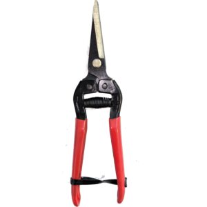 قیچی میوه چینی مدلHD2194 کدP14070