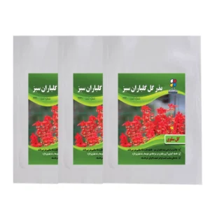 بذر گل سبز گیلان p19535