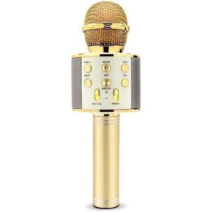 میکروفون اسپیکر وستر مدل WS-858 کد p19284